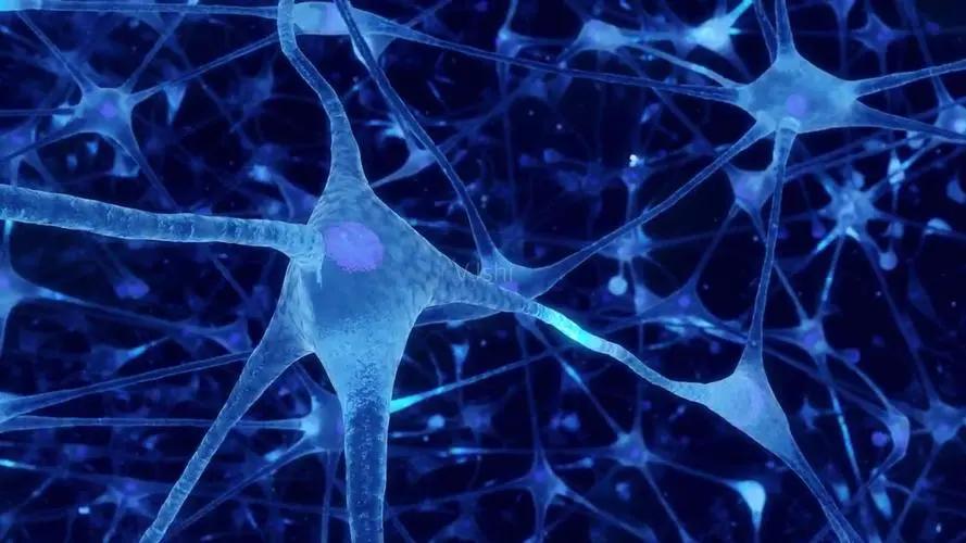 同房后，女性身体发热、发红？医生：这是性红晕！男女要早了解！