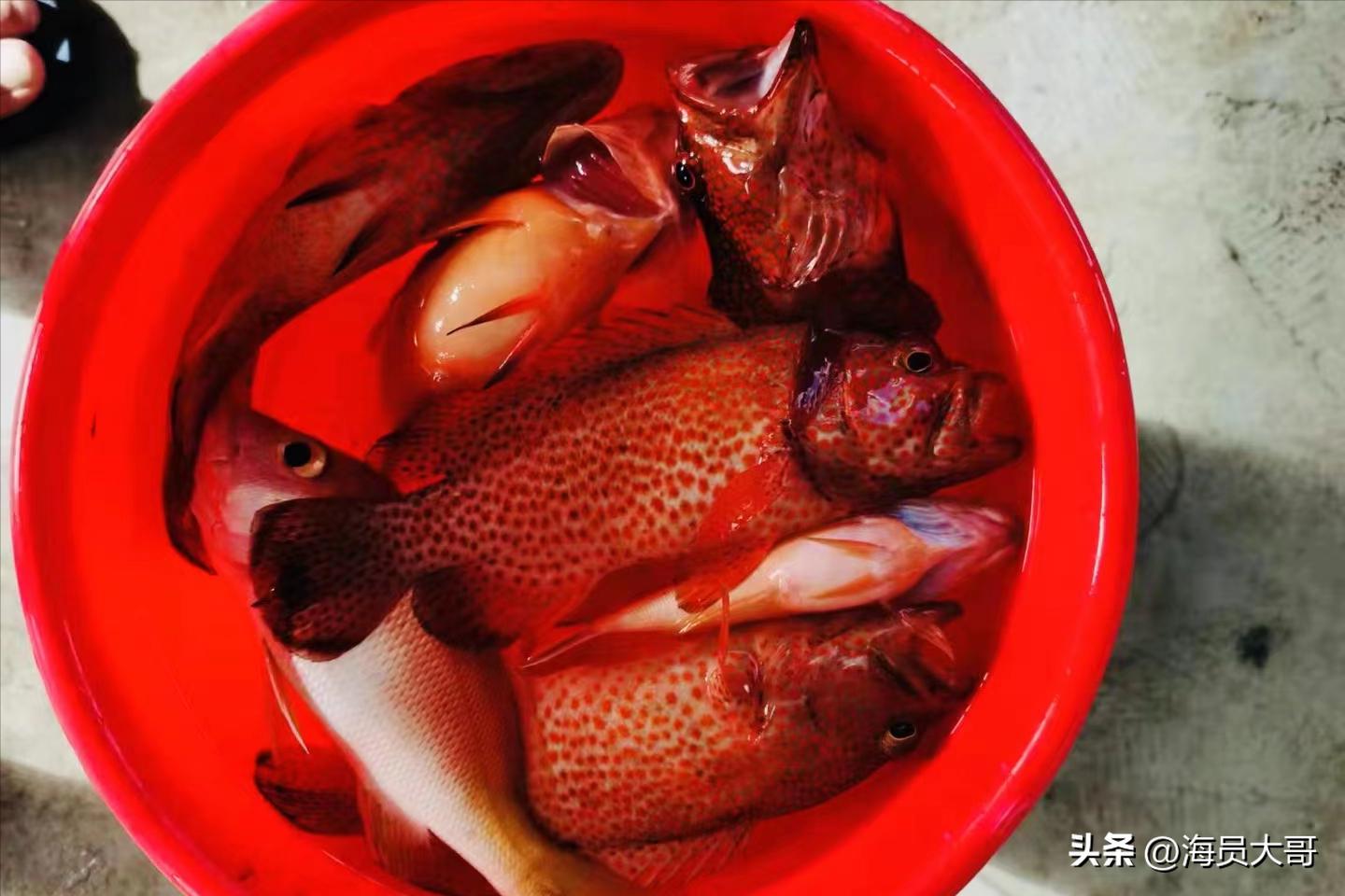 做海员每天都得工作,做海员服务好吗