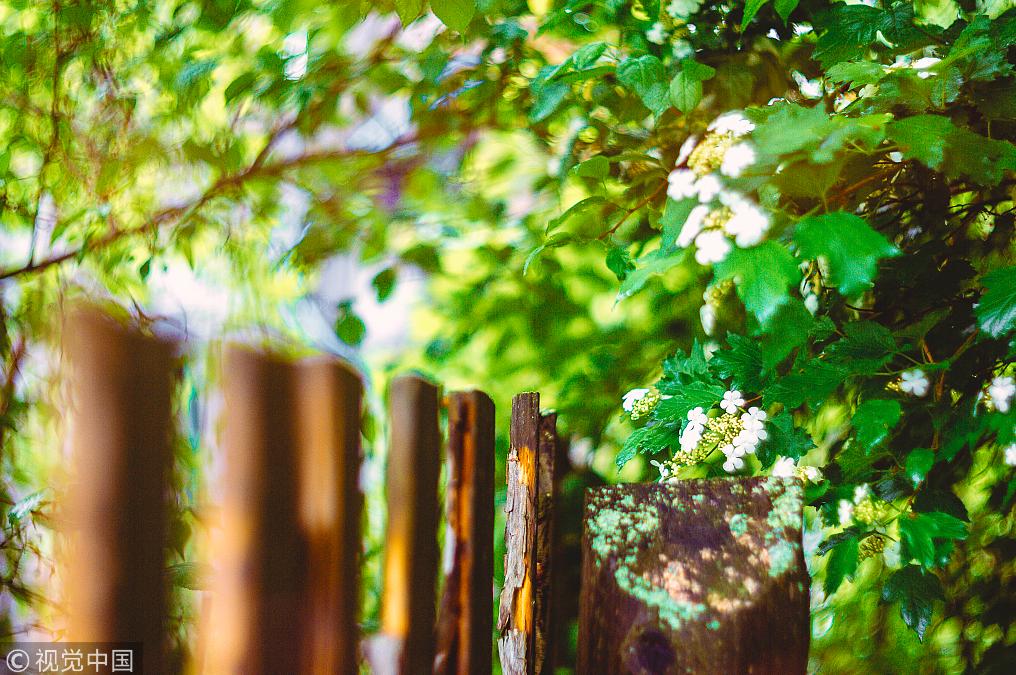 患难不仅见真情还见人心,患难难见真情利益见人心