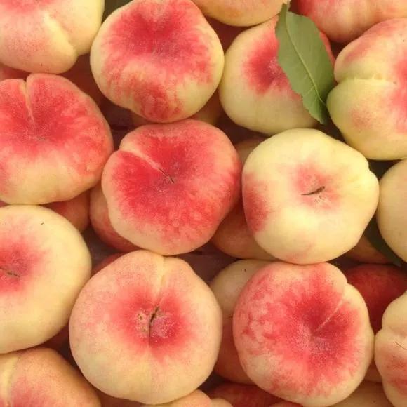 涔℃潙鏁ｆ枃鍥剧墖,锜犳缇庢枃