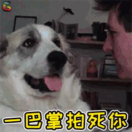 为什么打狗会有不好的事发生,为什么不能打狗民间故事