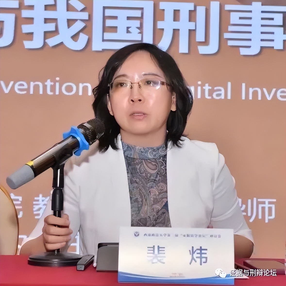 冯俊伟、李学军、裴炜、揭萍、郑飞等：网络法与电子数据法演讲