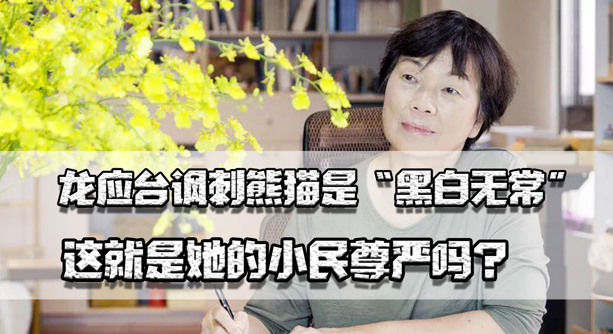 为什么都骂龙应台,龙应台的虚伪