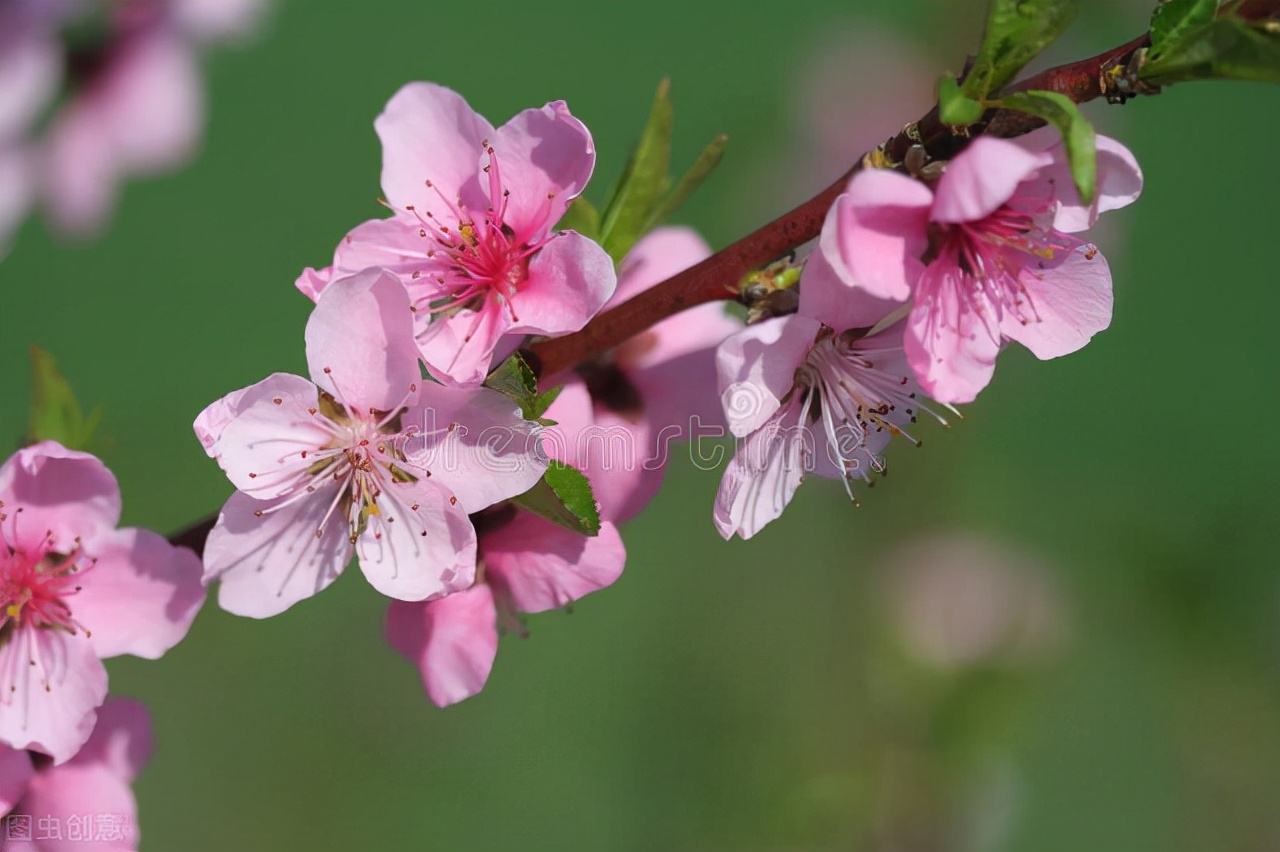 学生常写错别字老师应该怎么鼓励,如何解决学生写错别字