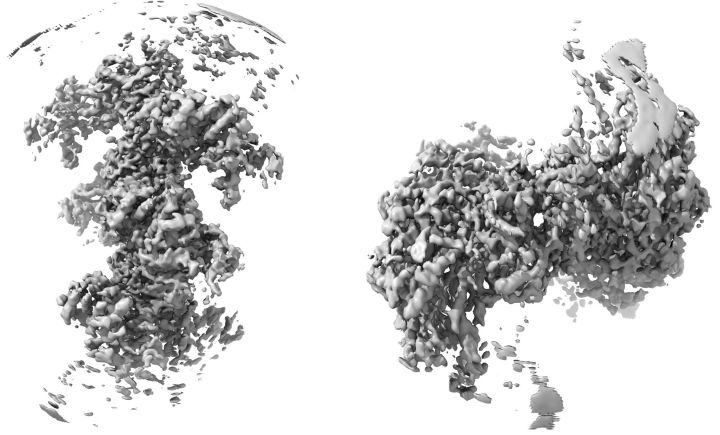 健身增肌好处的简介,锻炼和健身增肌的原理