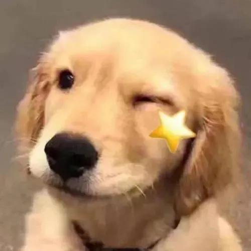 表情包我也得想办法整一个,表情包我能有什么坏心思呢