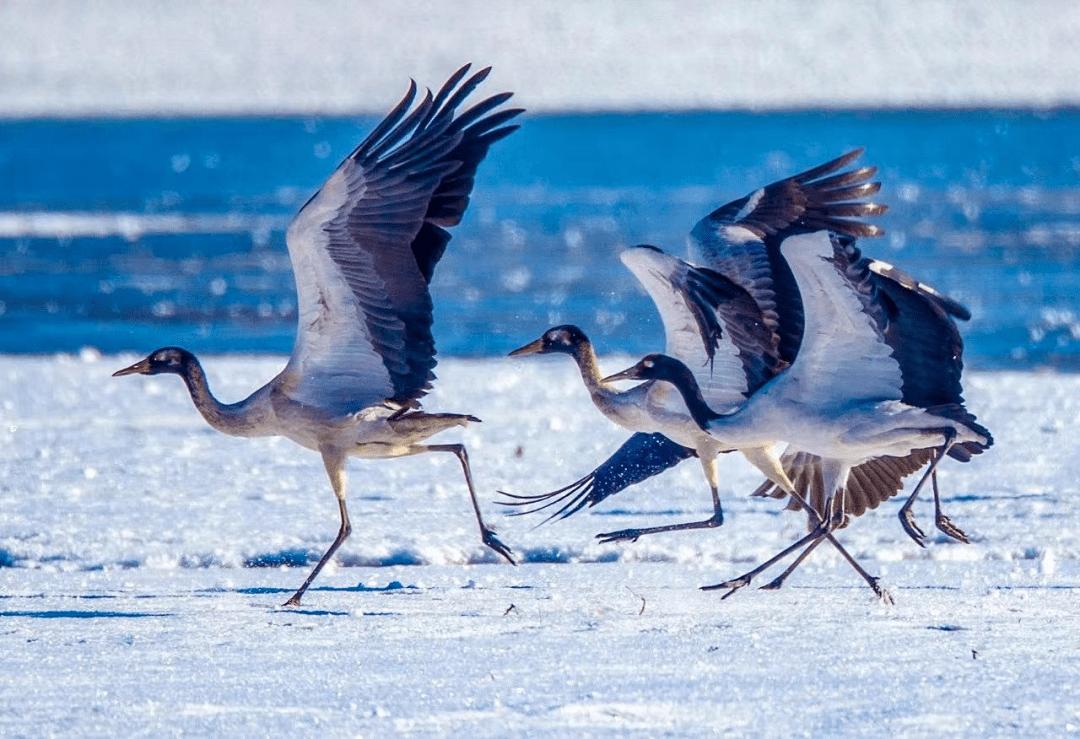 藏东旅游攻略,藏西旅游