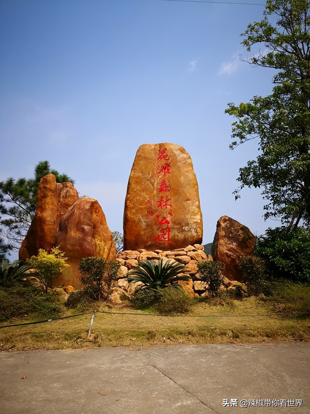 海岸线：邂逅*江阳**——感受这座慢节奏小城文化底蕴感悟人文之美