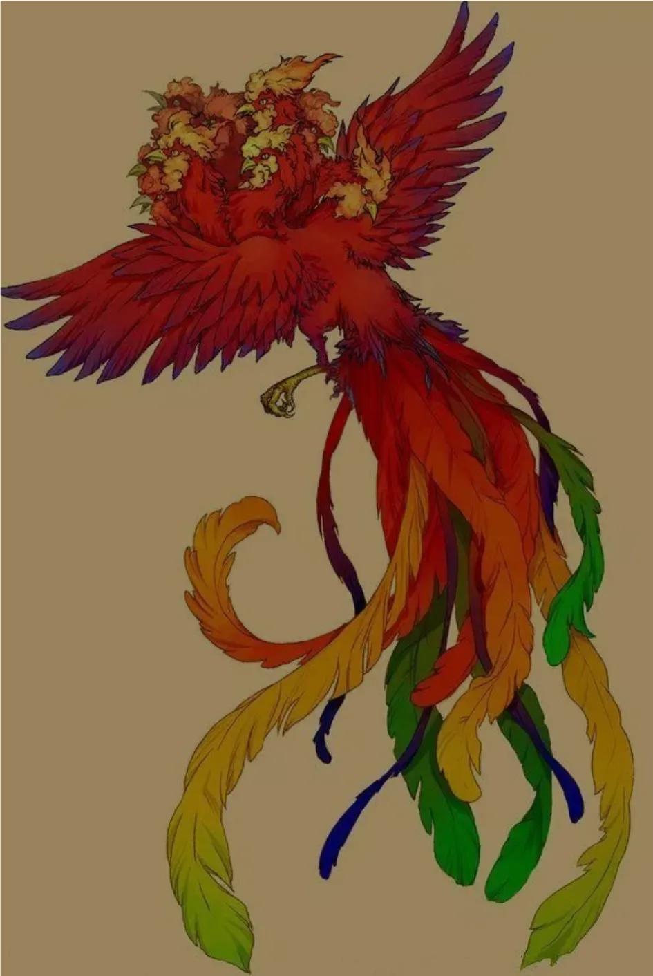 湖北九头鸟学名叫什么,湖北九头鸟其他省份叫什么