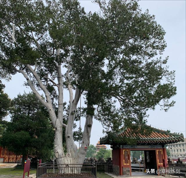 北京北海公园旅游攻略自由行,雨天游北京北海公园攻略