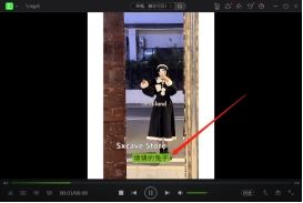 剪辑视频如何添加素材,剪辑视频教程怎么添加文字