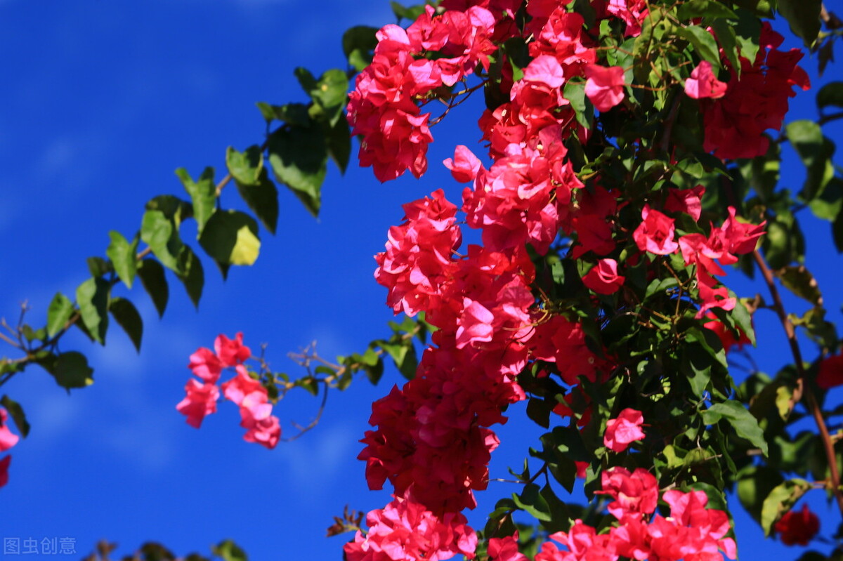 5个存钱小妙招让你的钱越存越多,普通人的15个存钱技巧