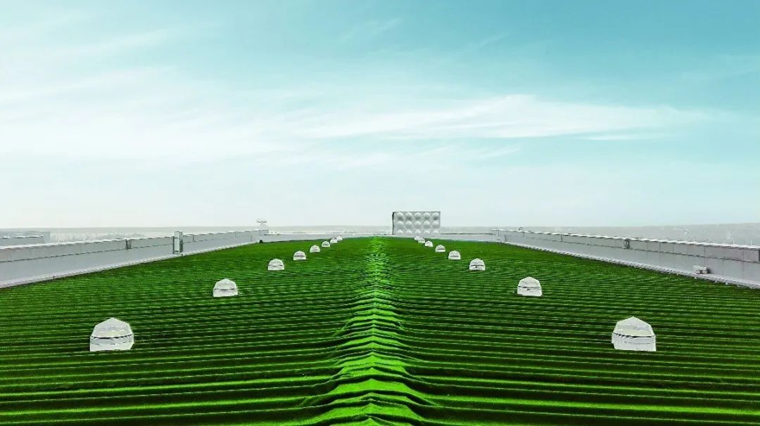 节能环保新能源,阳光新能源光伏发电产品性能