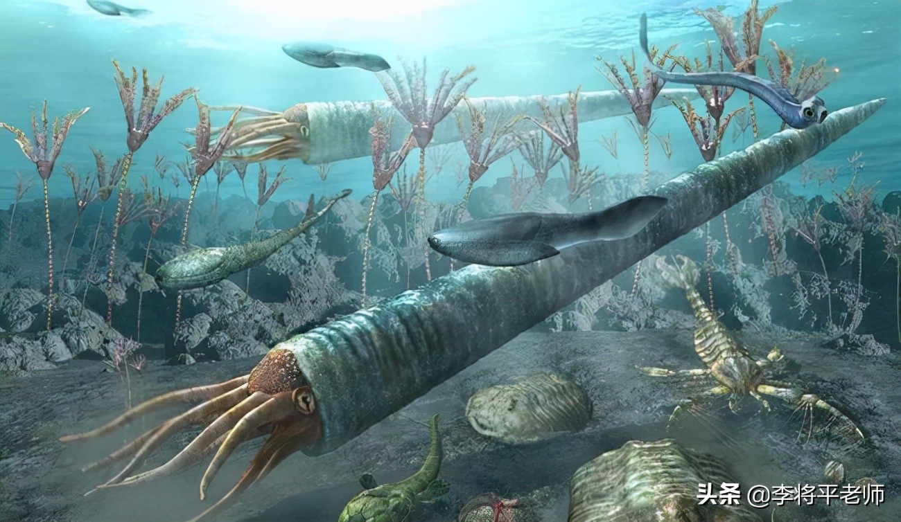 3个心脏的章鱼是什么,地球的外星生物章鱼