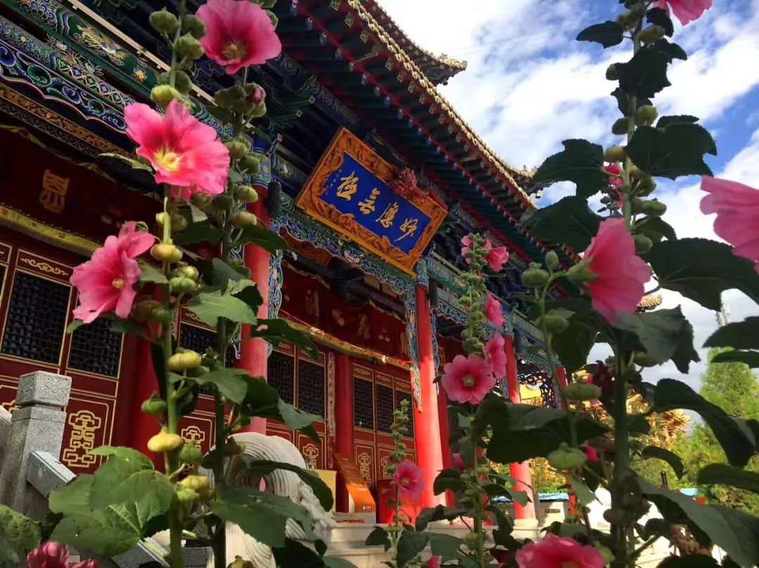 8月中旬带孩子去甘肃,带孩子去敦煌7天