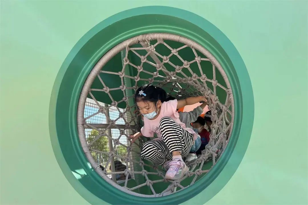 衡水园博园改造,衡水湖改造工程