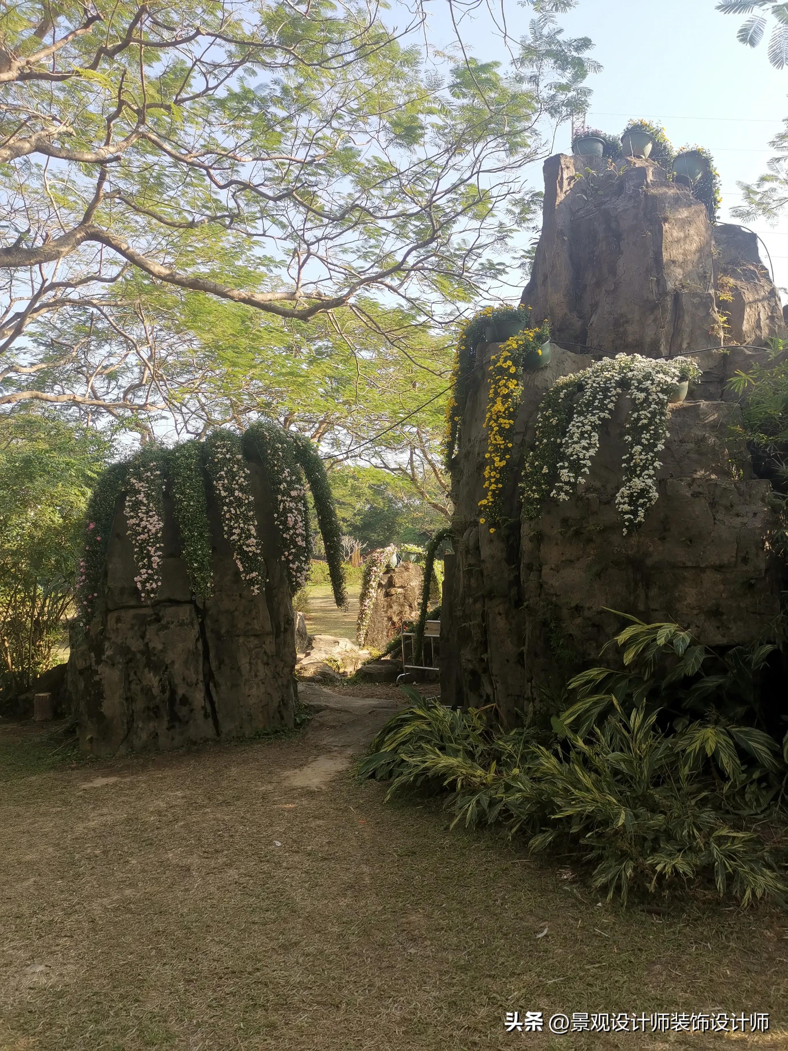 深圳市东湖公园广场舞,深圳市东湖公园收费标准