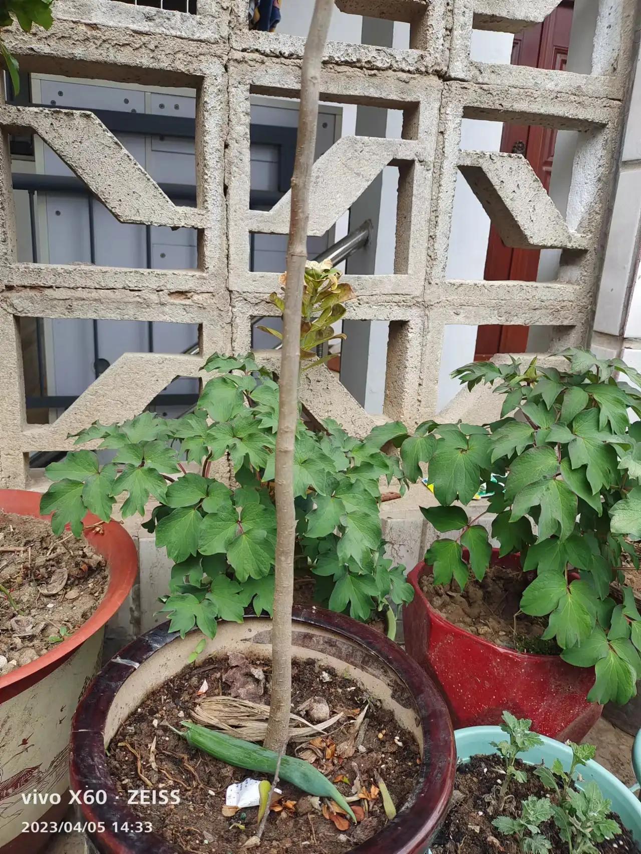 冤枉老公道歉怎么说,冤枉老公了又没勇气道歉怎么办