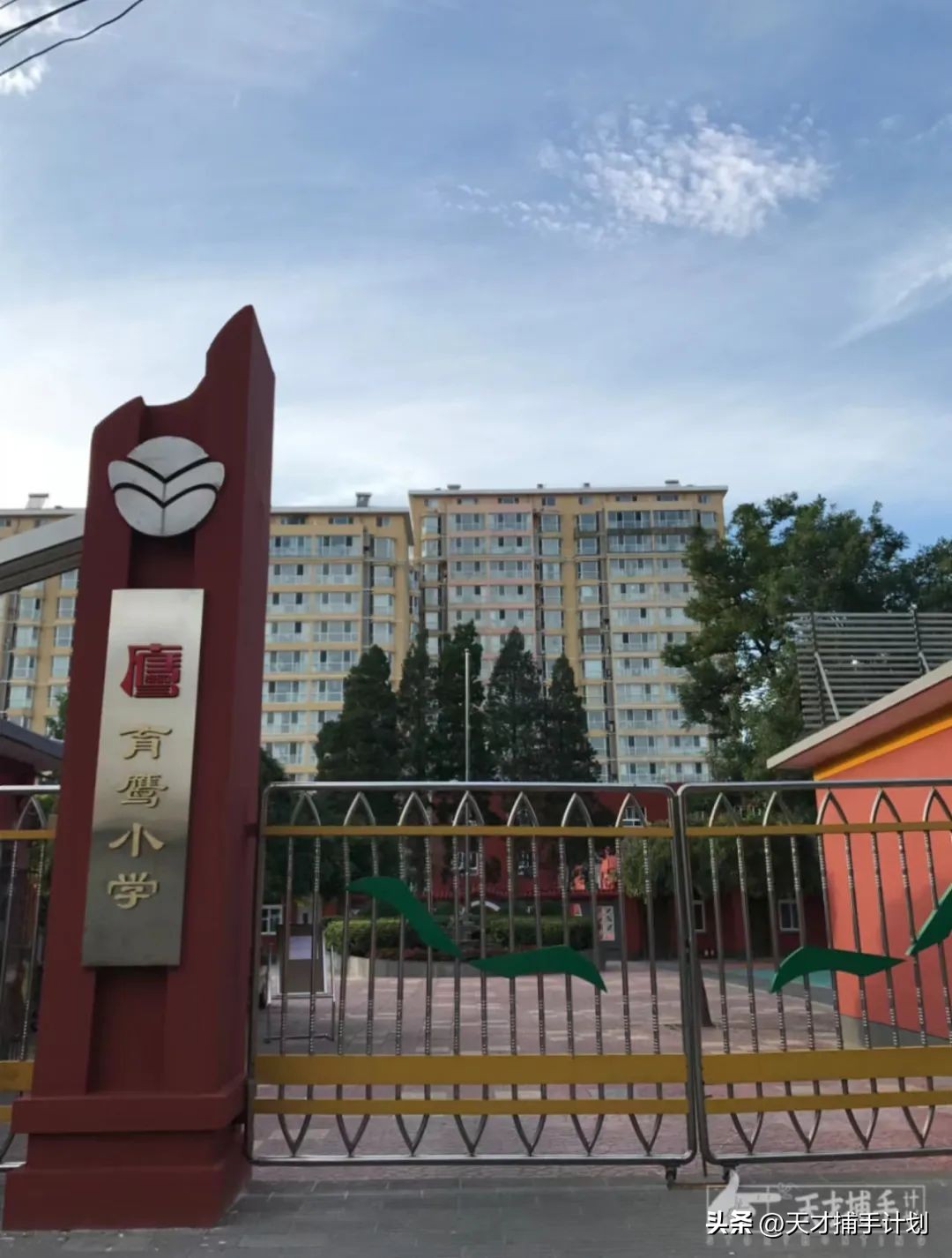 3岁在北京长大的韩国人：北大毕业，依然无法留在中国