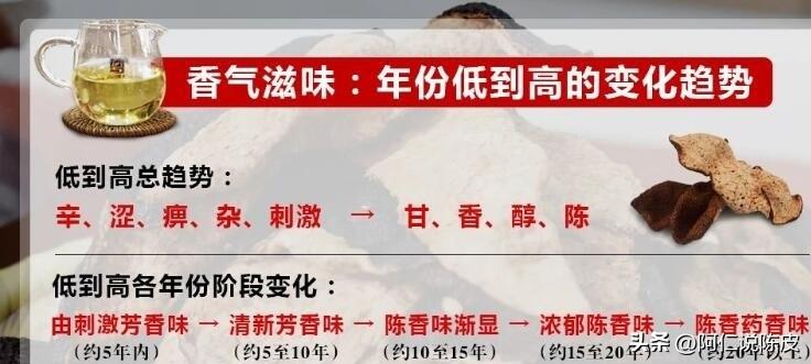 阿仁陈皮,阿仁谈陈皮