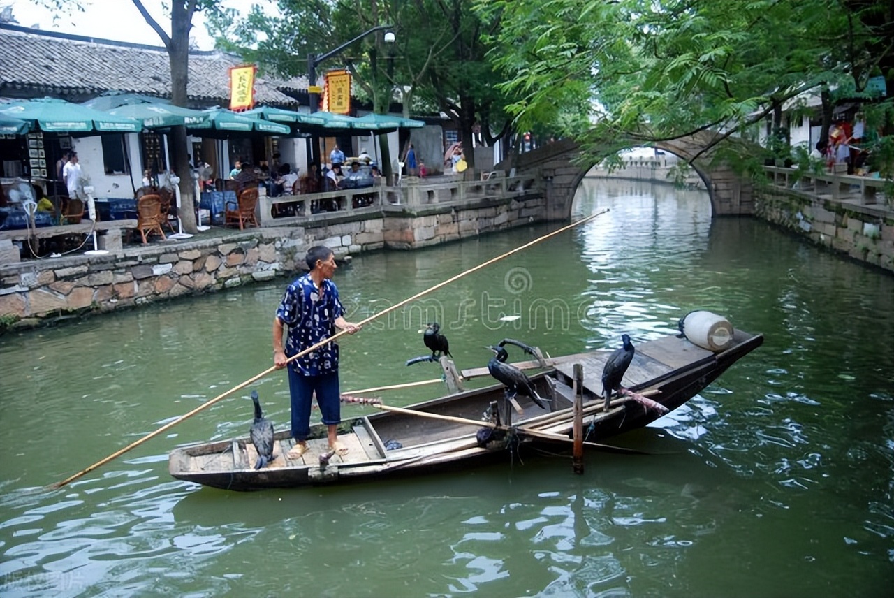 郭进拴作品大全,郭进拴全部视频