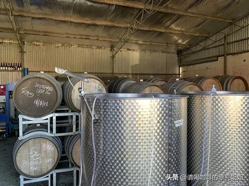 云南天皓庄园,云南天皓咖啡豆