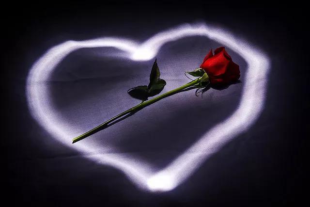 唯美心形素材视频,唯美心形的图片