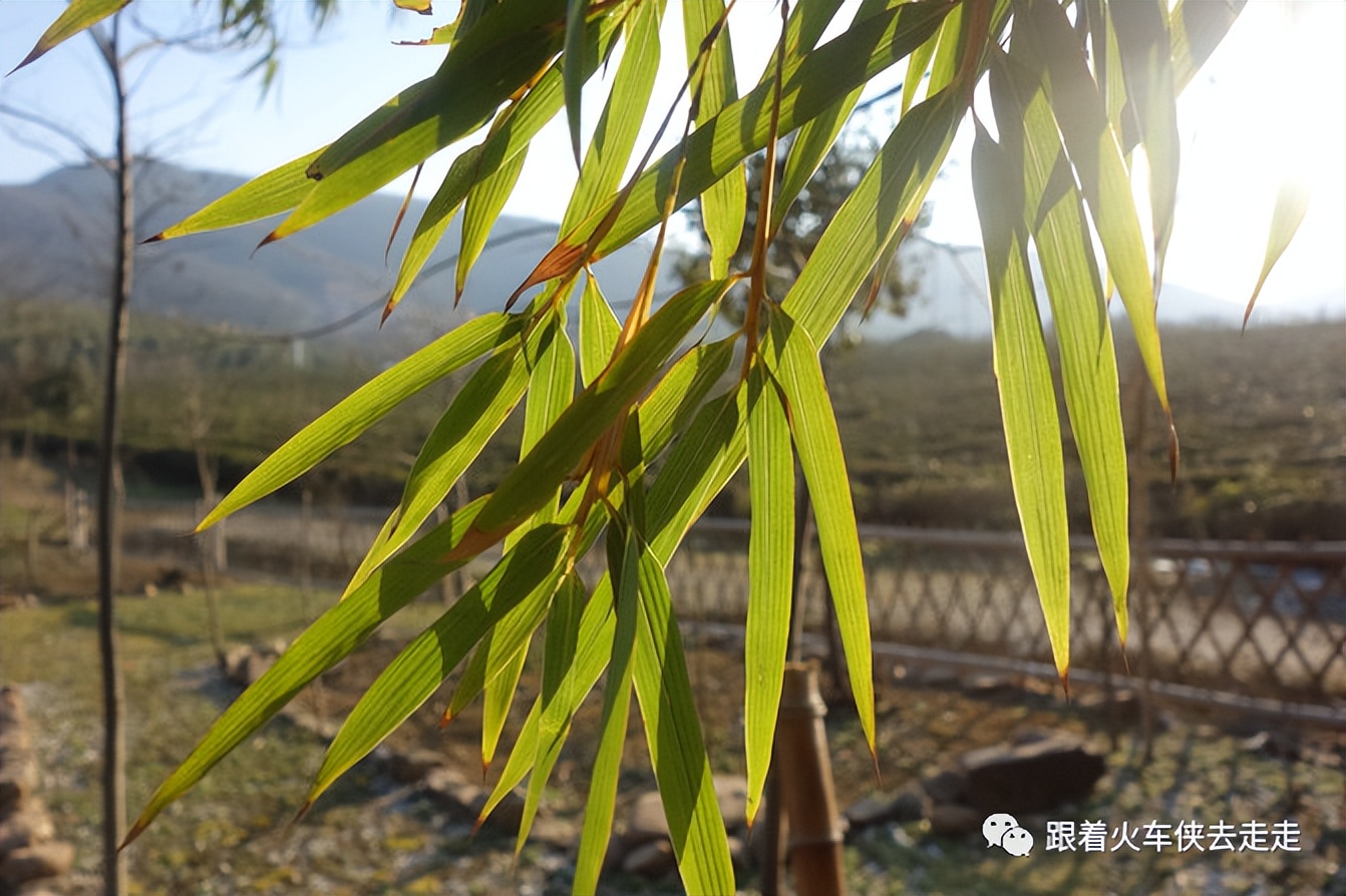 宜兴小镇的深氧之旅——张渚镇龙池山自行车公园