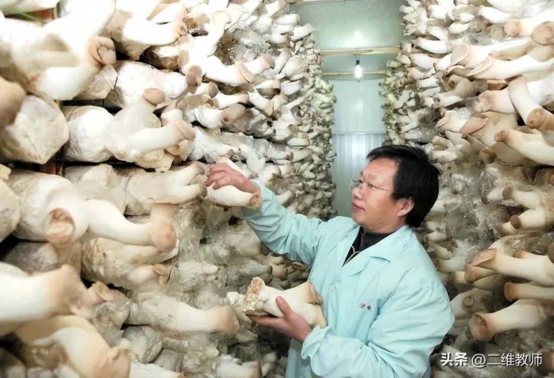 沈阳工业大学:电气工程的隐秘王者!分低就业前景好,你选不选?