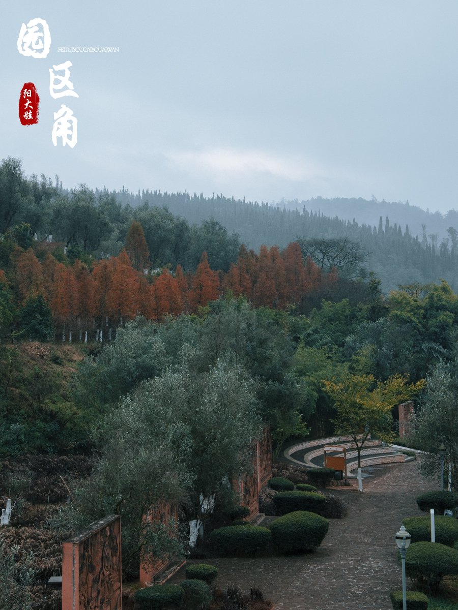 海口世纪公园游玩攻略一日游,昆明海口石城公园路线图