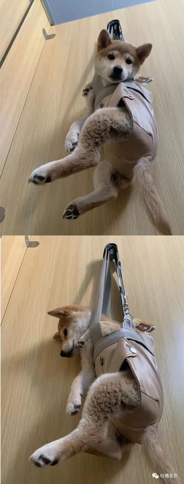 千万不要乱起淘宝名字,千万不要随便起淘宝名