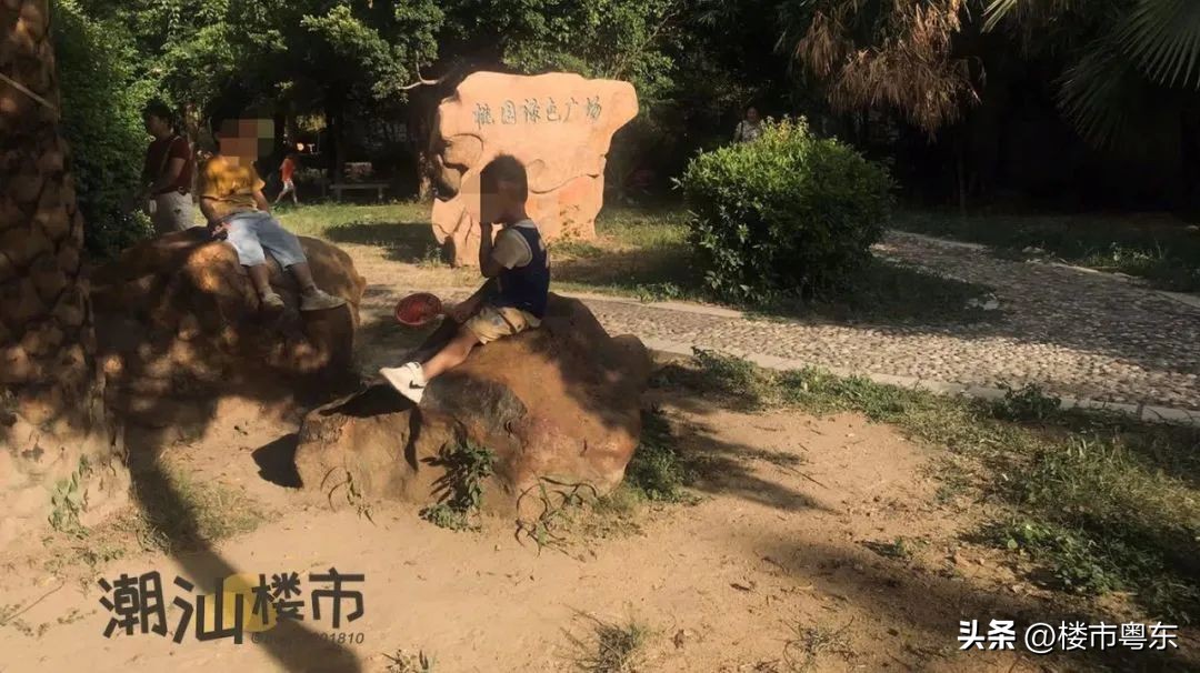 “指南里”一夜爆红！汕头桃园小区申请红花老姨出战！