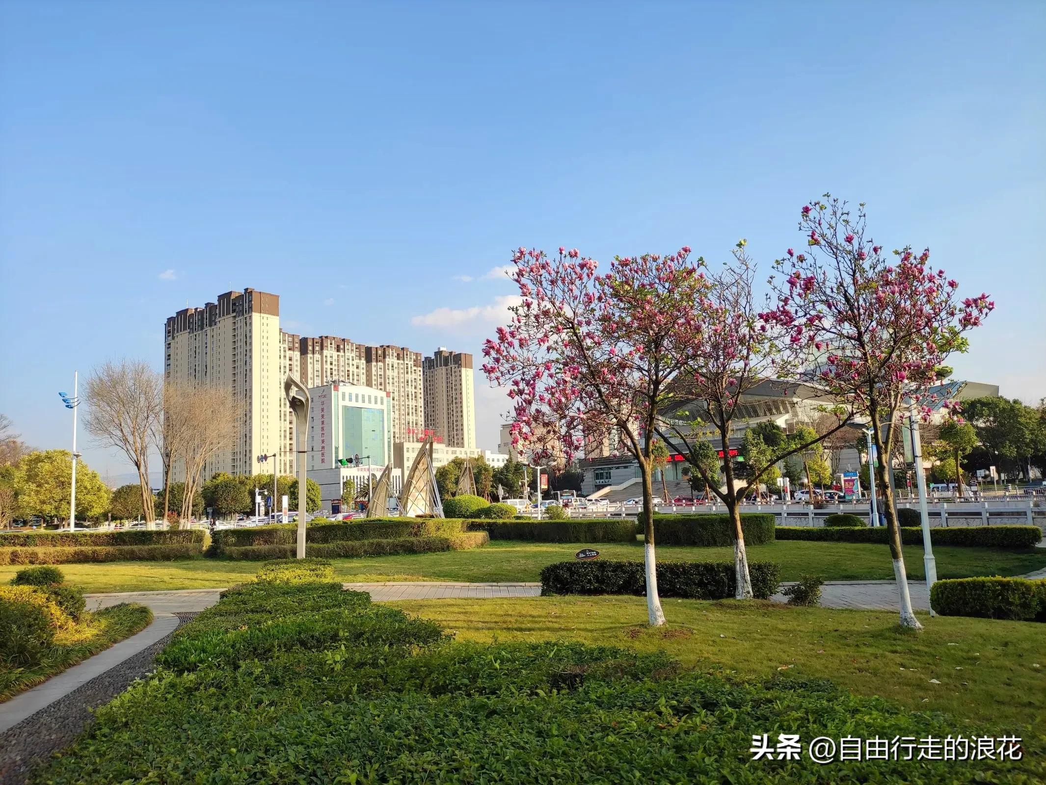 云南曲靖旅游感受,云南旅游曲靖攻略