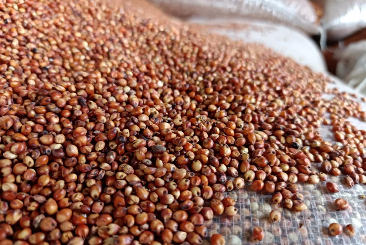 茅台王子珍品评测,2022茅台王子珍品整箱鉴别