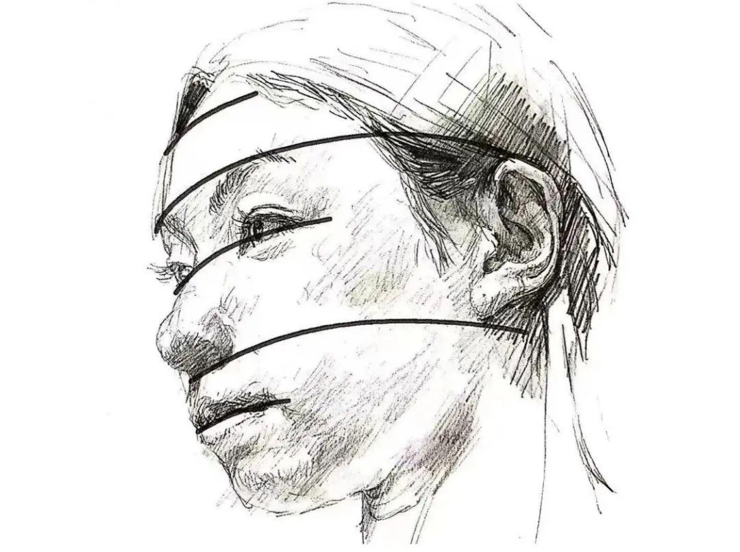 一文搞懂耳朵审美（一）（什么是颅耳角、耳基底、耳位）