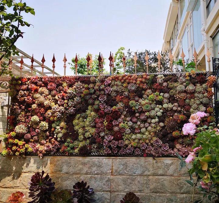 粘土多肉圣诞树简单版,多肉圣诞树