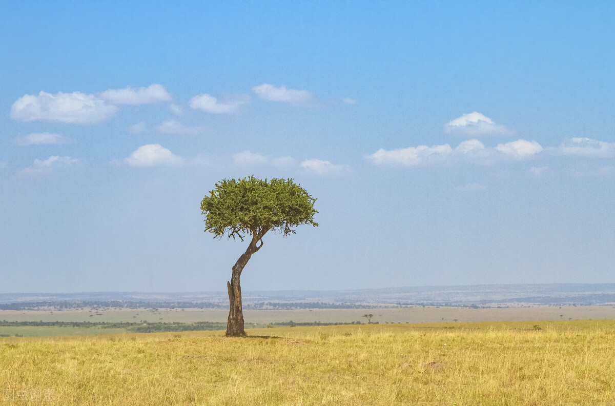 米兰的按摩院（下）