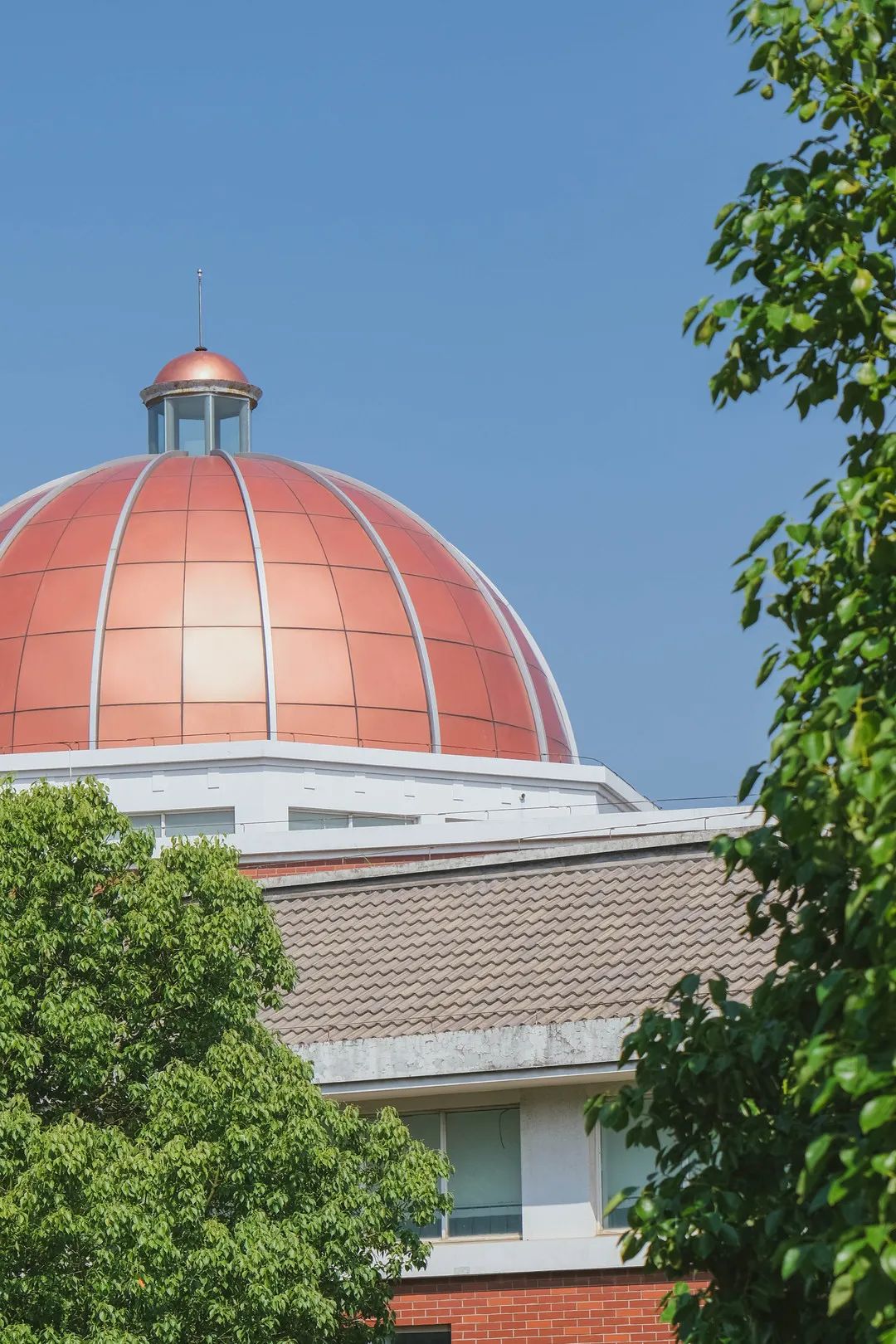 梁丰个人资料,梁丰大结局