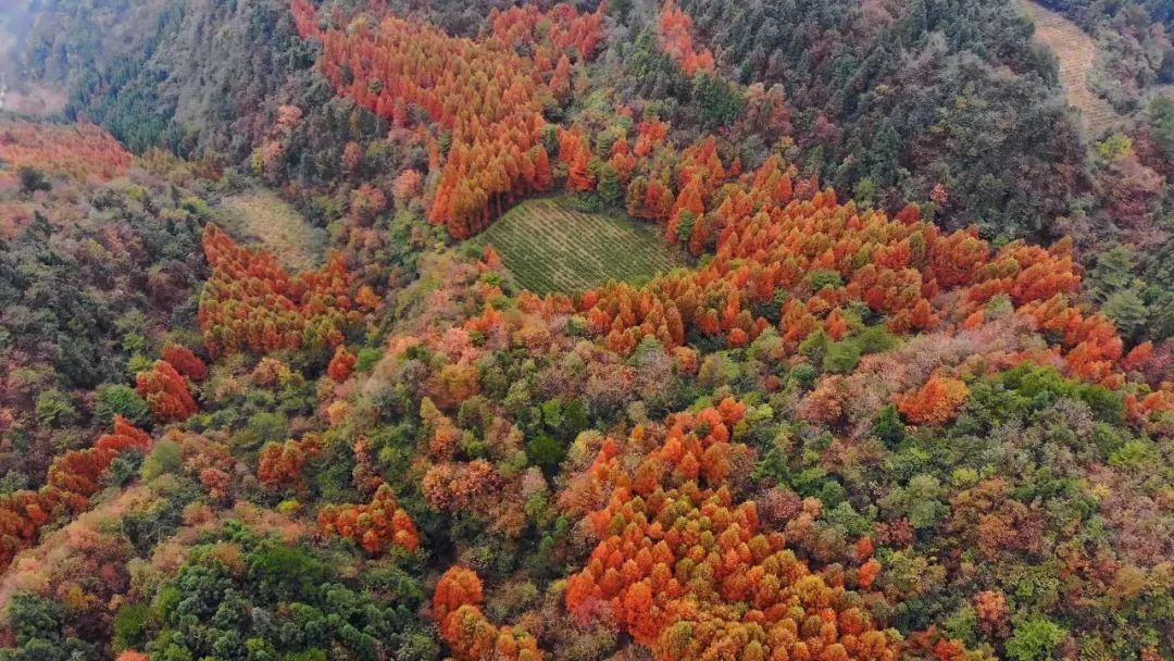 他只用了一星期，建成一座「可移动的房子」，上山下海睡遍世界