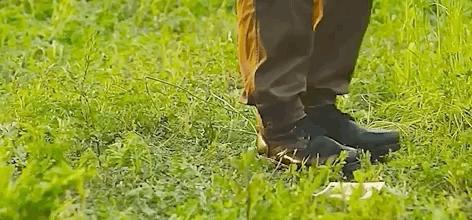 浣嗗嚒鏈夊潡鑵硅倢閮芥槸绗戝嚭鏉ョ殑,姣忎竴甯ч兘绗戝嚭鑵硅倢