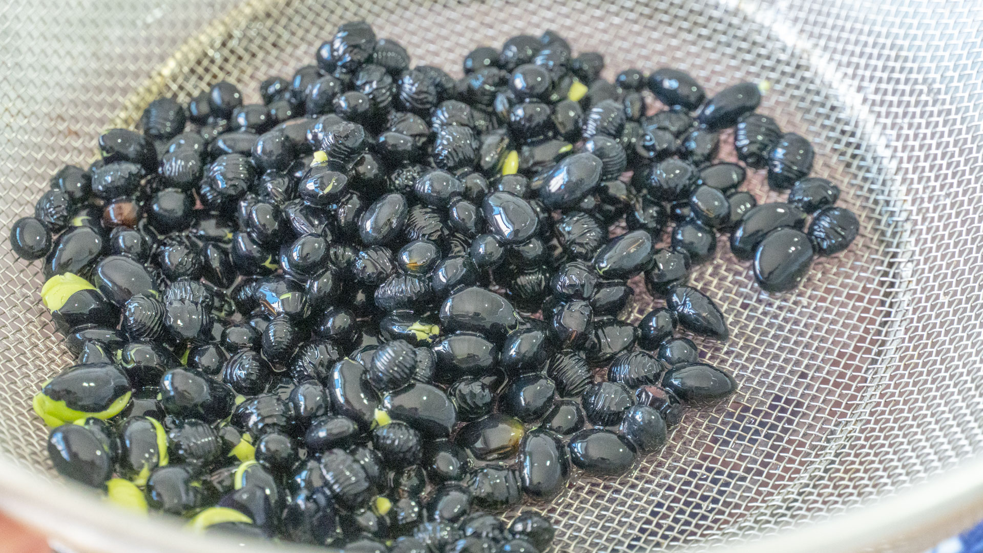 吃豆胜过吃肉六种养生豆家家都有,春吃豆赛过肉什么生肖