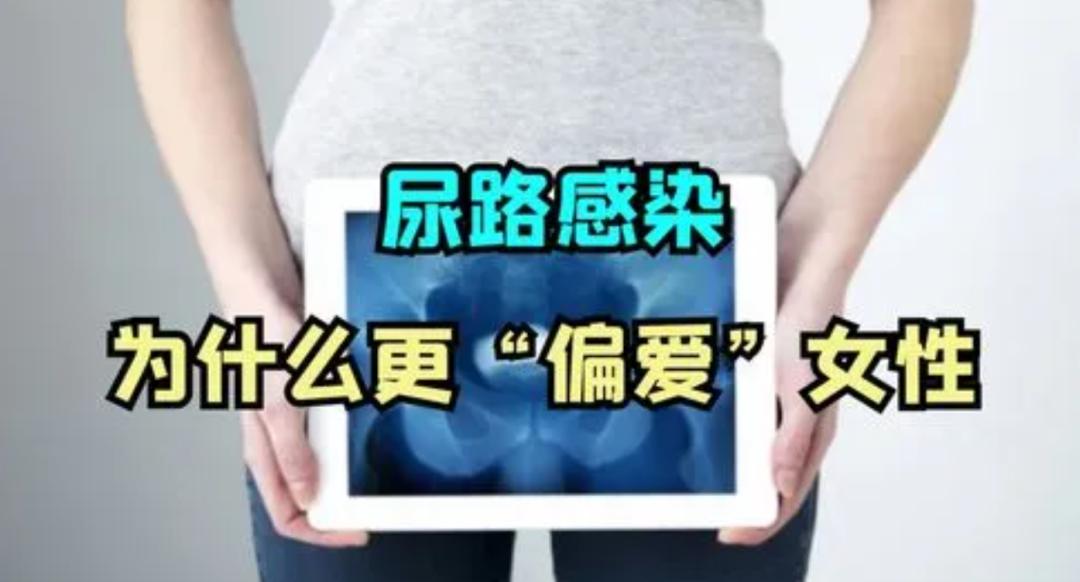 为什么尿路感染“偏爱”女性呢？