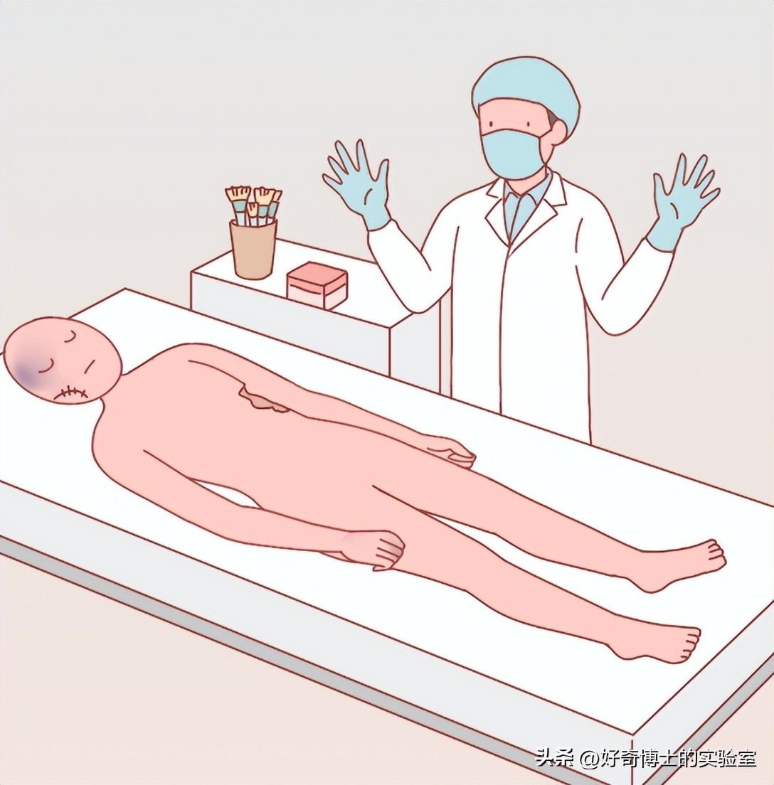 沉浸式体验出殡,详细观察遗体火化