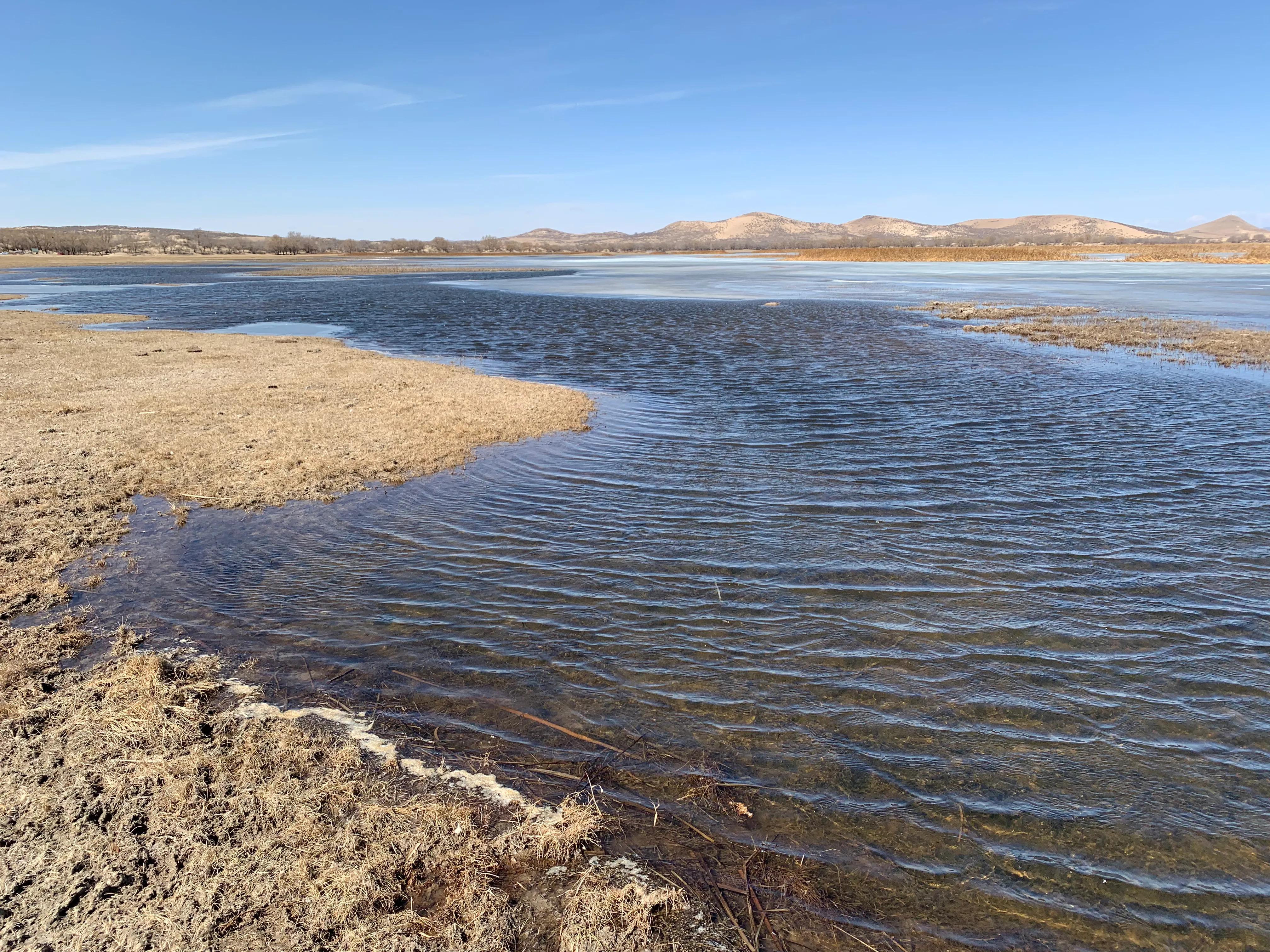 闃挎棩瀹濆埄鏍兼梾娓稿尯,闃挎棩瀹濆姏鏍兼箹