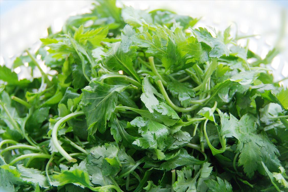 3月吃野菜，不要只知道荠菜，这“南京三宝”，比荠菜味道鲜美