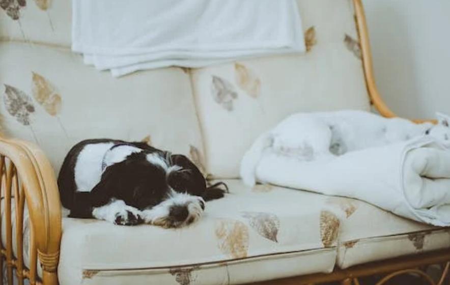 买房首付差5万，男朋友不肯帮忙，是不是可以分手换人了