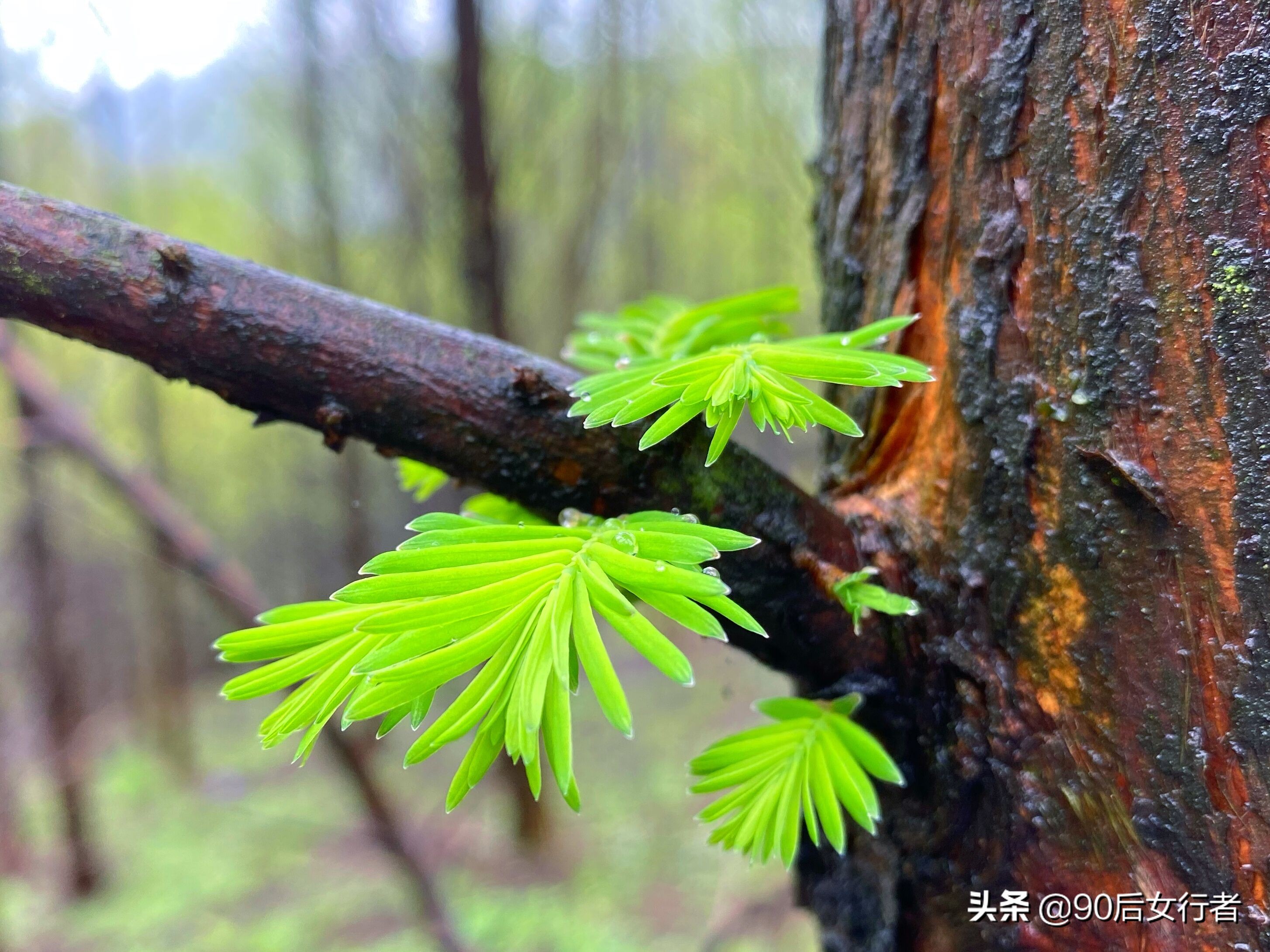 雨天徒步十里长山凹,走进大自然翻山越岭户外徒步