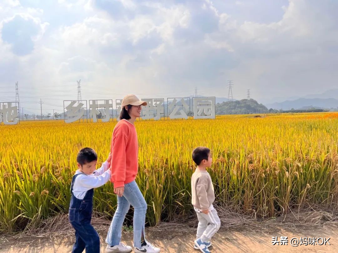 大s跟汪小菲在一起怎么不打扮,大s穿白西装和汪小菲手拉手