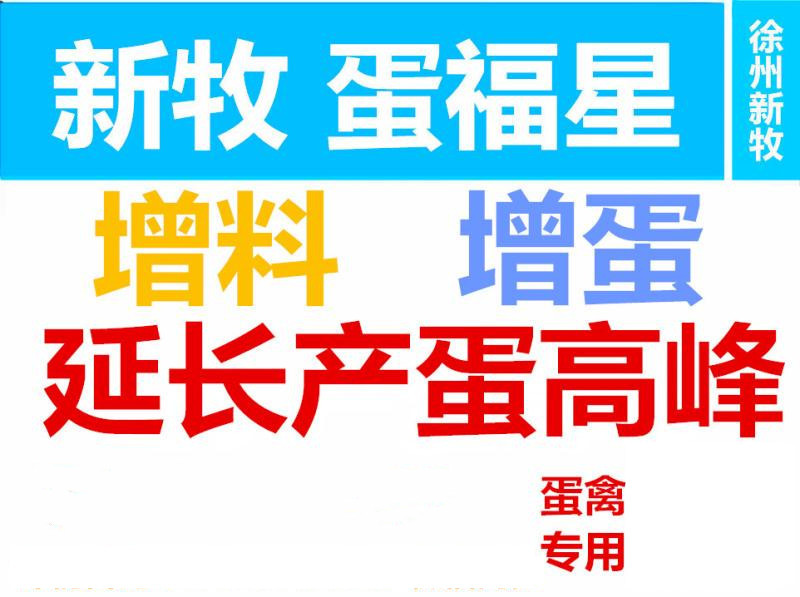 蛋鸭吃什么下蛋最快,如何让蛋鸭下蛋干净
