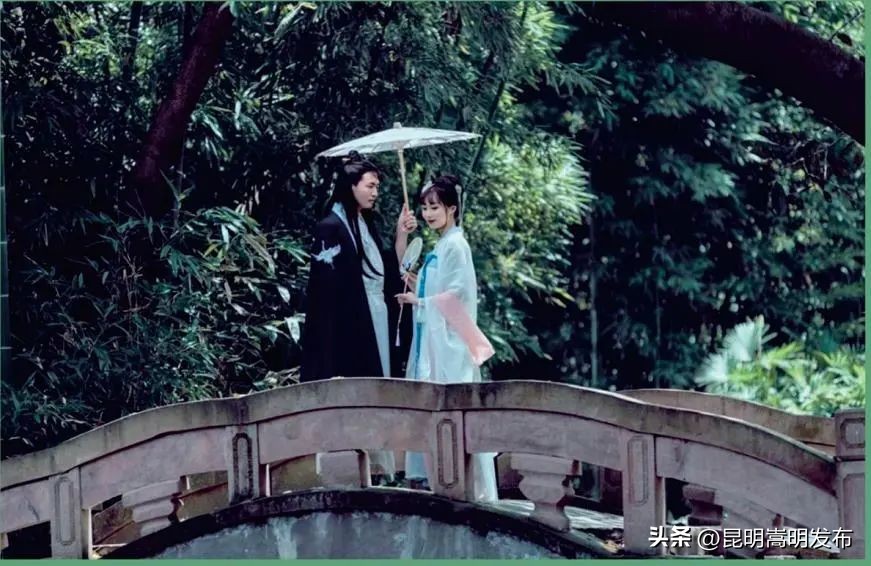 花博会云南,花博会来了